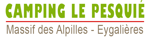 logo camping le pesquie