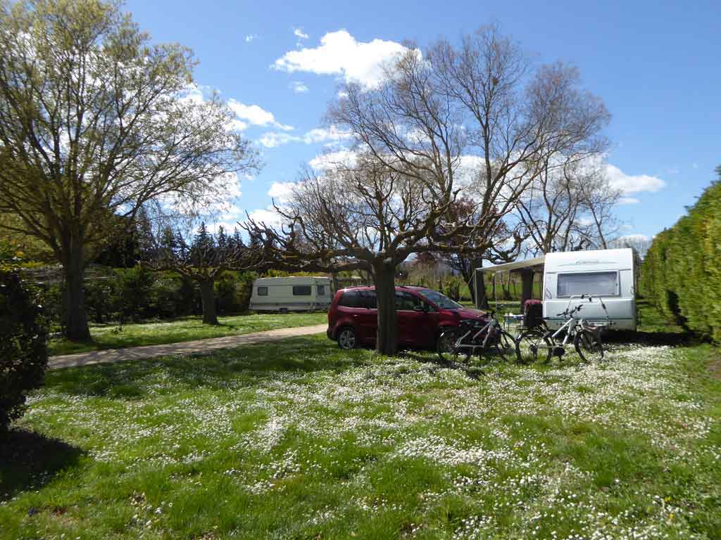 emplacement camping saint remy provence